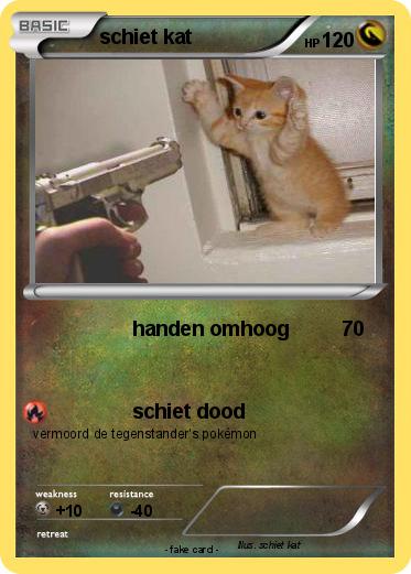 Pokemon schiet kat