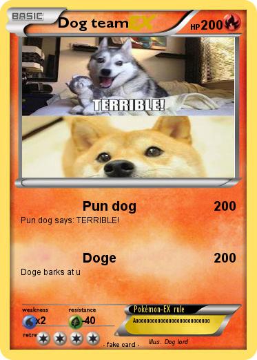 Pokemon Dog team