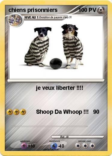 Pokemon chiens prisonniers