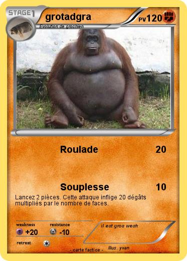 Pokemon grotadgra