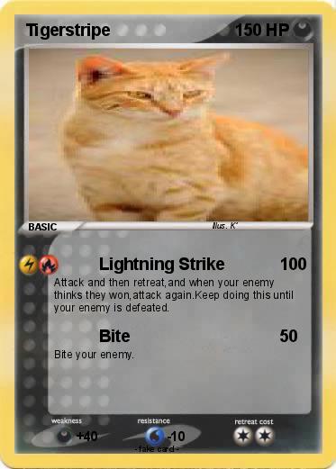 Pokemon Tigerstripe