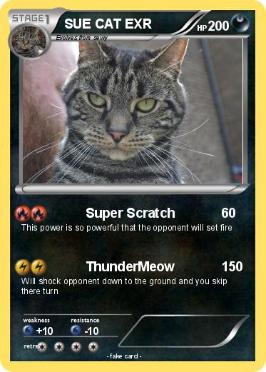 Pokemon SUE CAT EXR