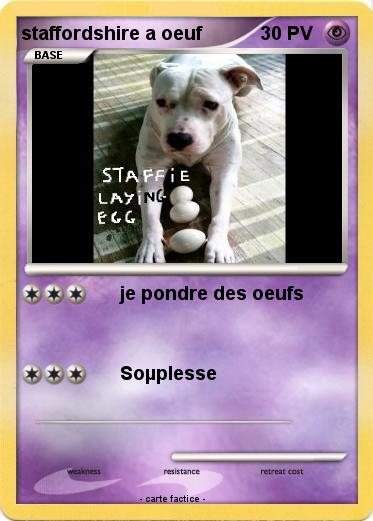 Pokemon staffordshire a oeuf