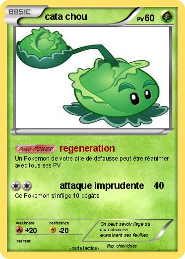 Pokemon cata chou