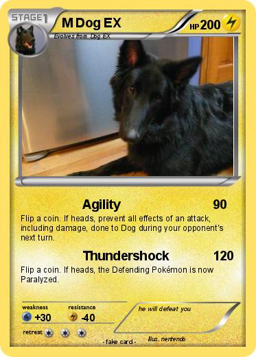 Pokemon M Dog EX