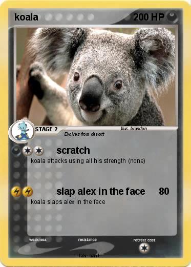 Pokemon koala