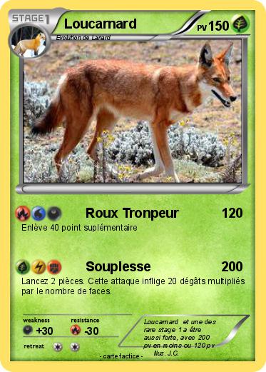 Pokemon Loucarnard