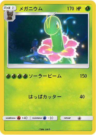 Pokemon メガニウム