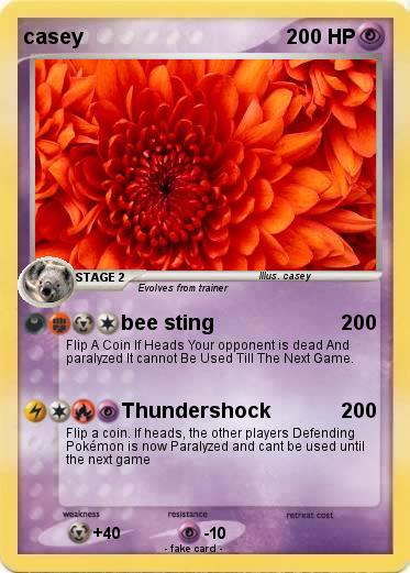 Pokemon casey
