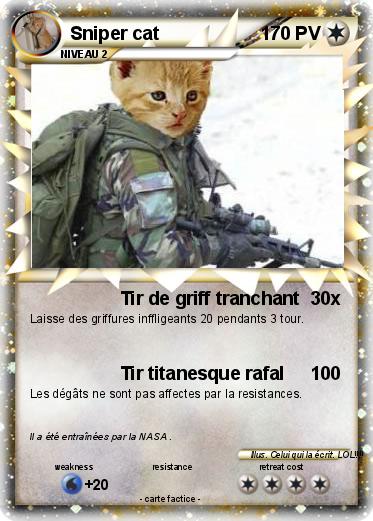 Pokemon Sniper cat