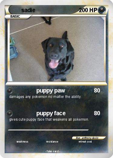 Pokemon sadie