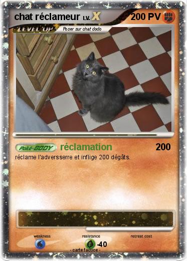 Pokemon chat réclameur