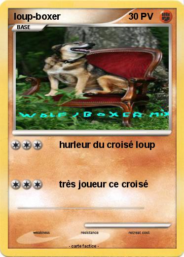 Pokemon loup-boxer