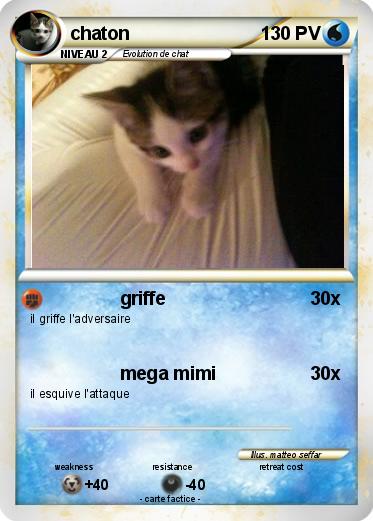 Pokemon chaton