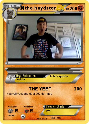 Pokemon the haydster