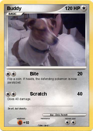 Pokemon Buddy