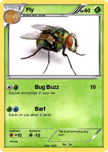 Pokemon Fly