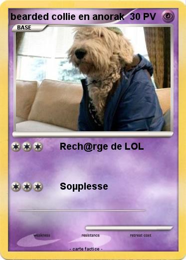 Pokemon bearded collie en anorak