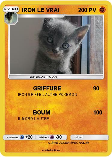 Pokemon IRON LE VRAI