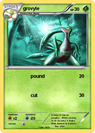 Pokemon grovyle