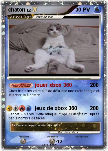 Pokemon chaton