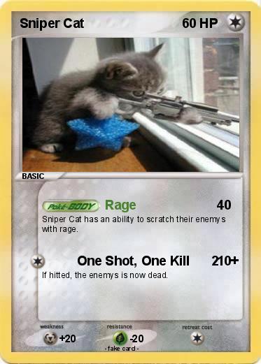 Pokemon Sniper Cat