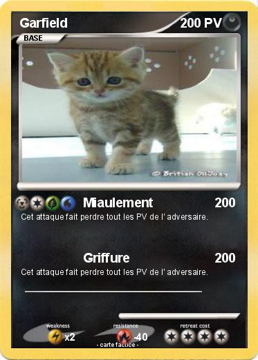 Pokemon Garfield