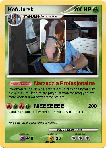Pokemon Koń Jarek