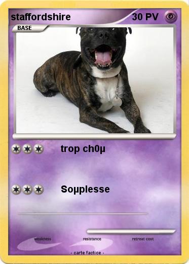 Pokemon staffordshire