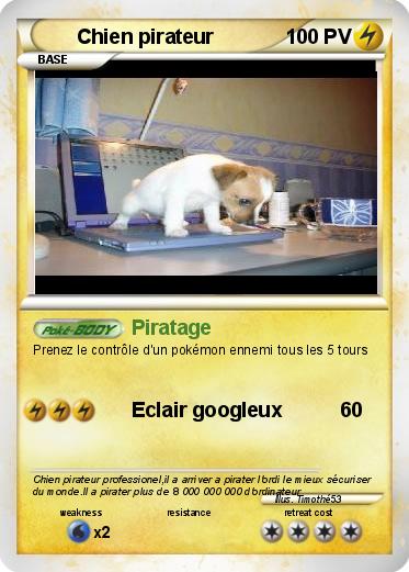 Pokemon Chien pirateur