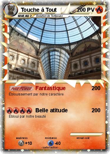 Pokemon Touche à Tout