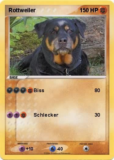 Pokemon Rottweiler