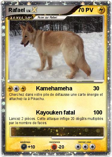 Pokemon Rafael