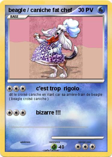 Pokemon beagle / caniche fat chef