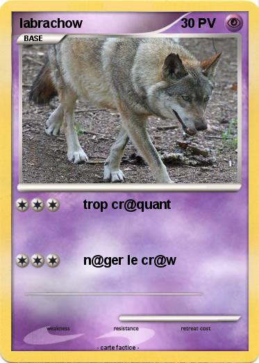 Pokemon labrachow