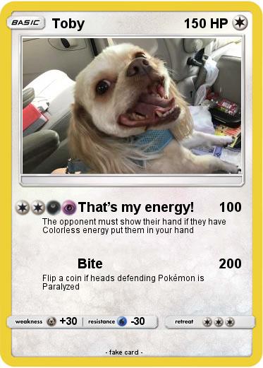 Pokemon Toby