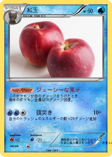 Pokemon 紅玉