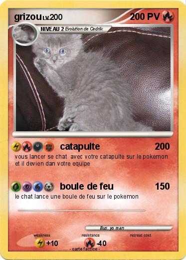 Pokemon grizou