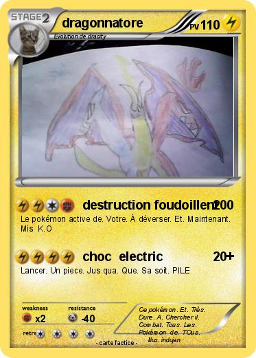 Pokemon dragonnatore