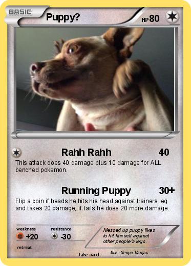 Pokemon Puppy?