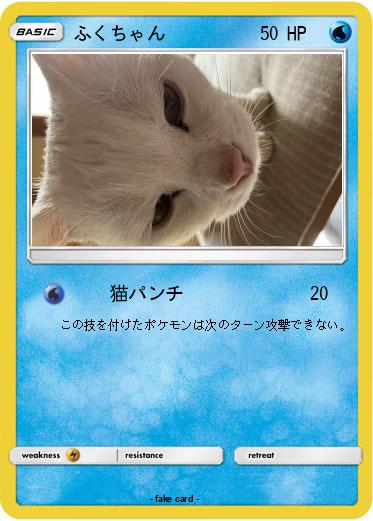 Pokemon ふくちゃん