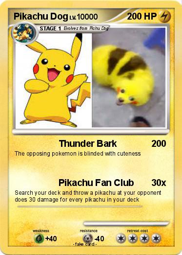 Pokemon Pikachu Dog