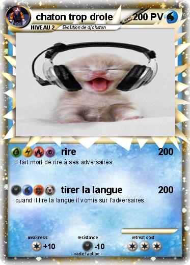Pokemon chaton trop drole