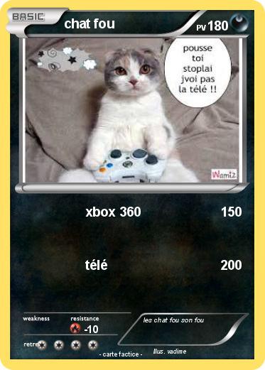 Pokemon chat fou