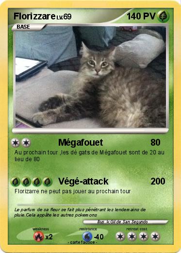 Pokemon Florizzare
