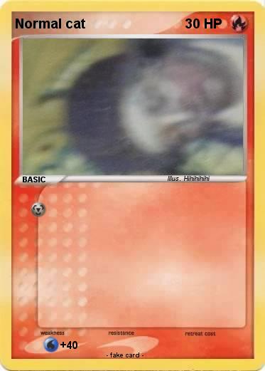 Pokemon Normal cat