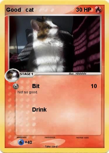 Pokemon Good   cat