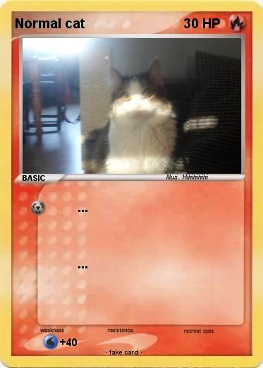 Pokemon Normal cat