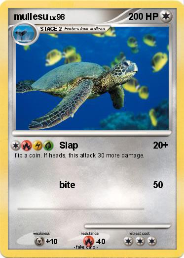 Pokemon mullesu