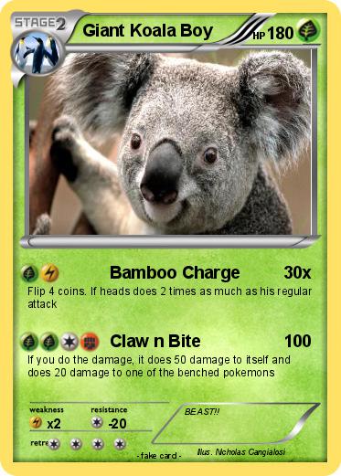Pokemon Giant Koala Boy